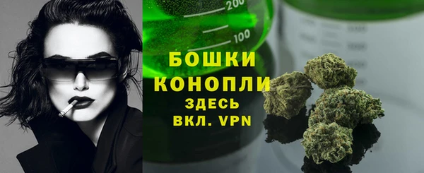 кристаллы Болотное
