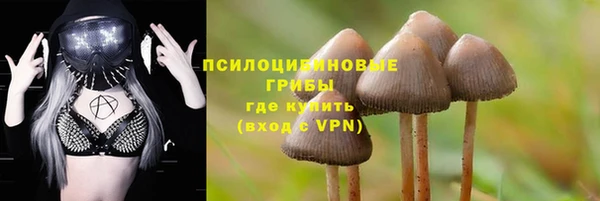 винт Саяногорск